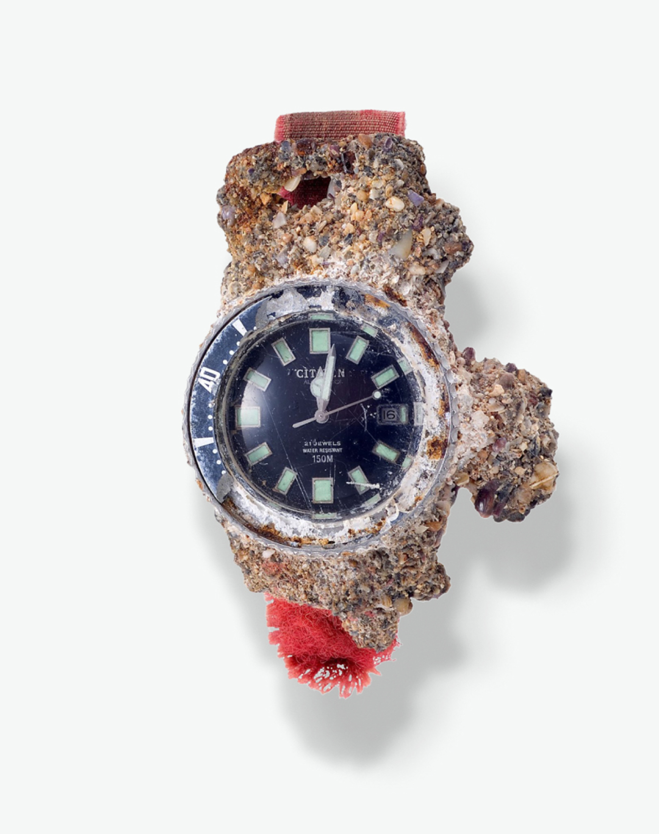 Mostra speciale del Challenge Diver "Fuji Tsubo"